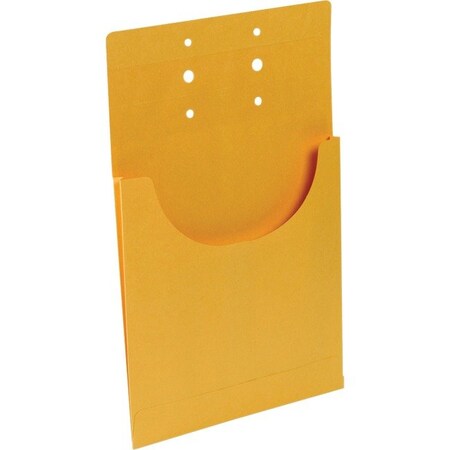 Business Source Pocket, Classification, Kraft 100PK BSN15700